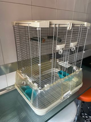 Jaulas para loro/ninfa/agapornis