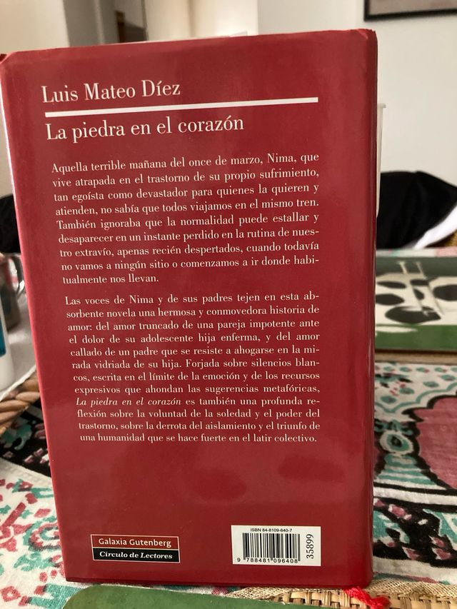 La piedra en el corazón (Spanish Edition)