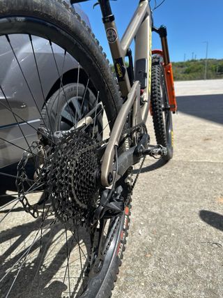 Santa cruz 5010c