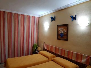 Alquiler Apartamento Torrevieja en Playa del Cura