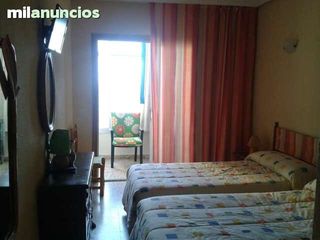 Alquiler Apartamento Torrevieja en Playa del Cura