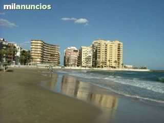 Alquiler Apartamento Torrevieja en Playa del Cura