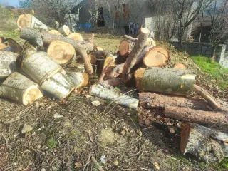 MOTOSIERRA STIHL MS 201TC A ESTRENAR