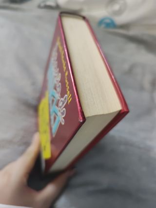 Libro Diario de Nikki parte 1 (edición española)