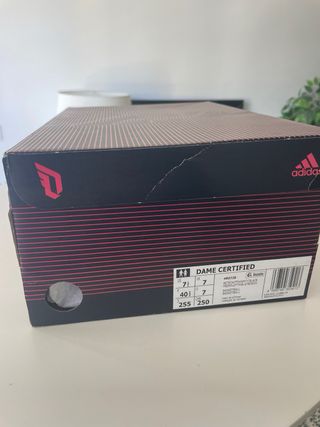 ADIDAS DAME CERTIFIED.