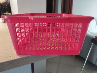 Cesto Plastica Rosso