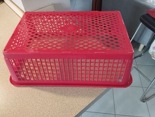 Cesto Plastica Rosso