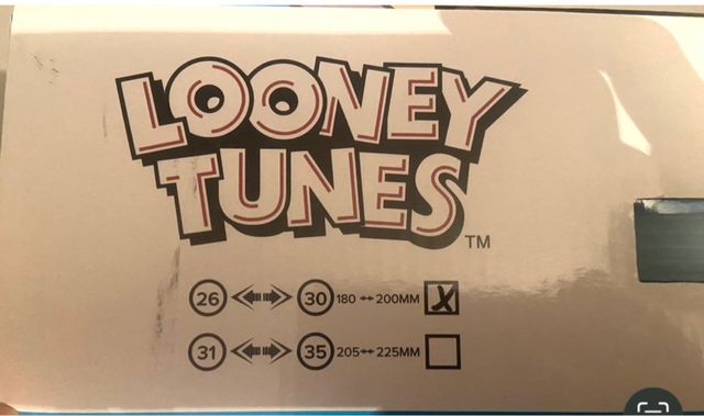 Patines en linea ajustables 26-30