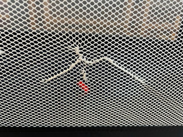 Cuna viaje + colchón Visco + Protectores + Sabanas