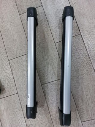 Portaesquis thule