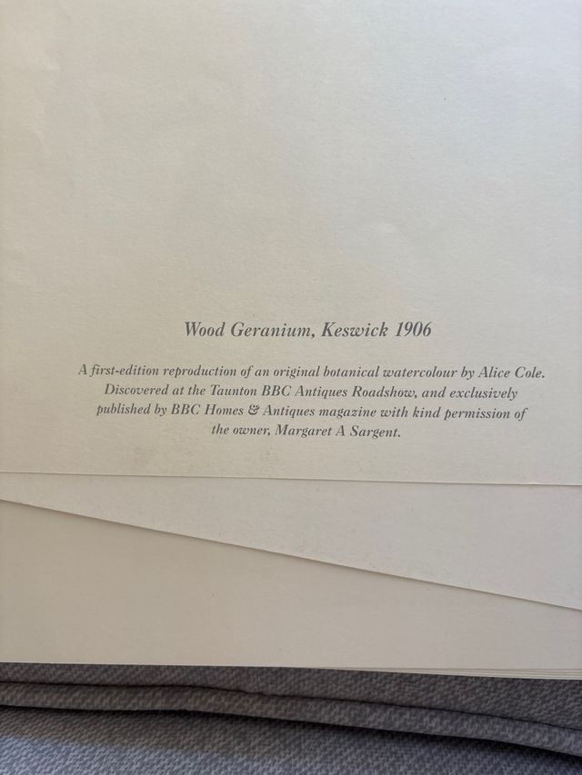 Ilustraciones de plantas