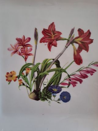 Vassoio Sweet England