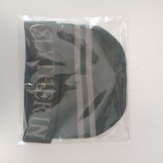 Berretto invernale Harry Potter, serpeverde.