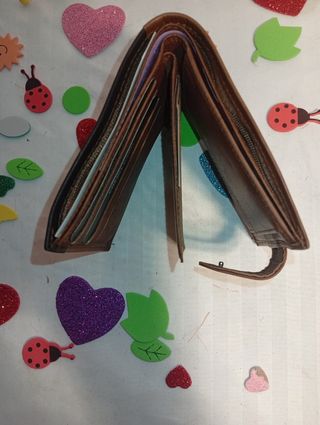 Cartera de piel 185