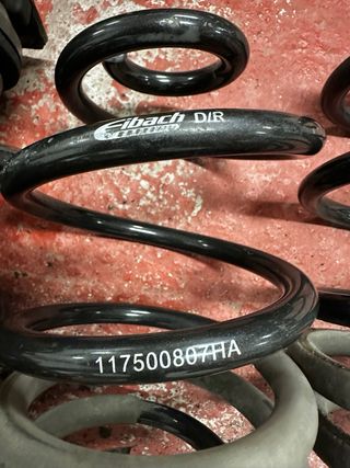 Muelles Eibach Clio 197 