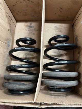 Muelles Eibach Clio 197 