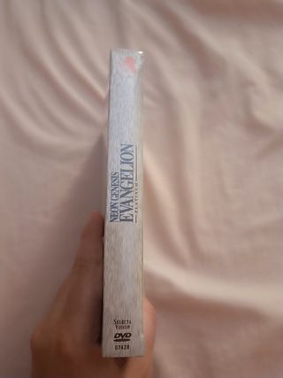 SERIE EVANGELION DVD