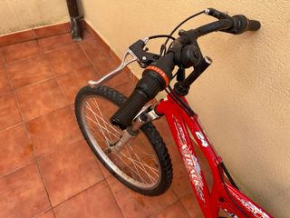 Mountain bike active y regalo