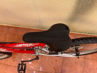 Mountain bike active y regalo