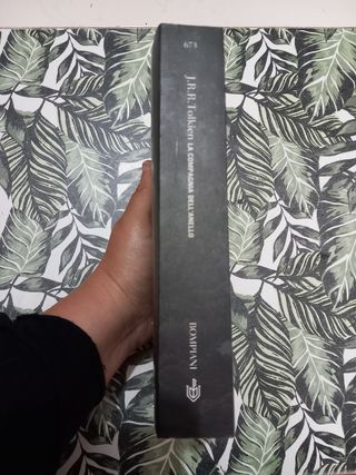 IL Signore degli anelli. La compagnia dell' anello