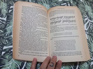 IL Signore degli anelli. La compagnia dell' anello