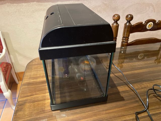 Pecera Aqua-Light 50L