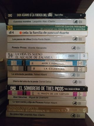 Lote libros clásicos literatura española 