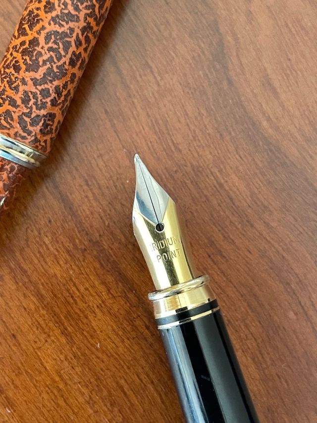 Pluma estilográfica y bolígrafo antiguos