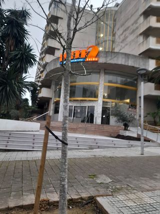 Reformas integrales