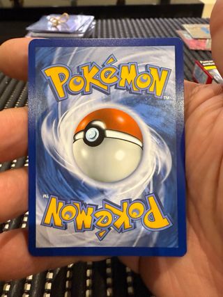 POKEMON FURRET EN INGLES