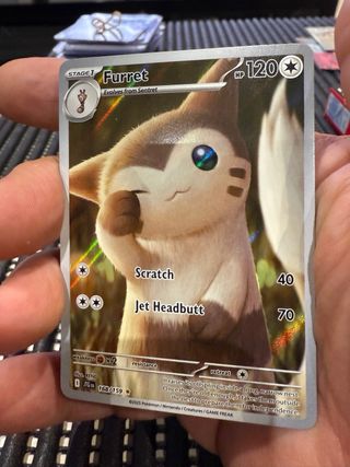 POKEMON FURRET EN INGLES