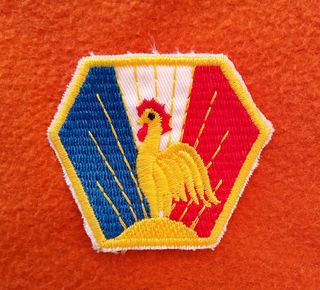 Parche WWII Free French Expeditionary 