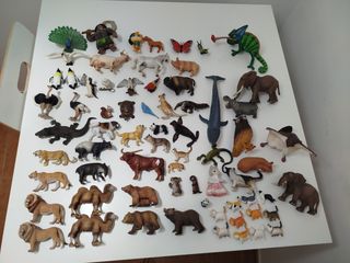 Figuras schlein . Se envia