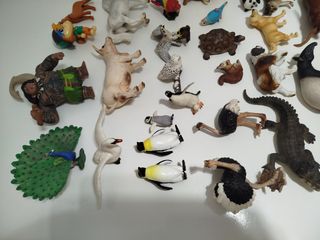 Figuras schlein . Se envia