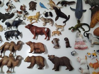 Figuras schlein . Se envia