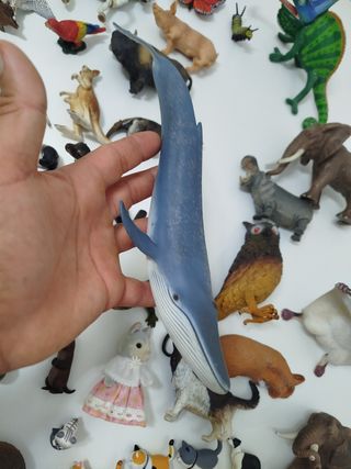 Figuras schlein . Se envia
