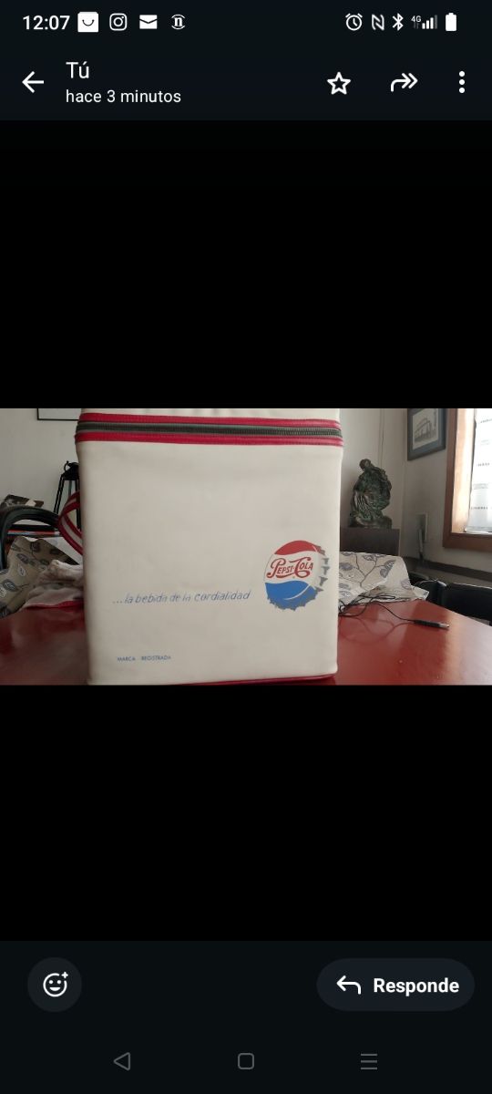 Nevera portátil vintage