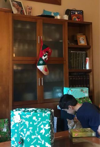 Mueble salon de pino macizo en muy buen estado.