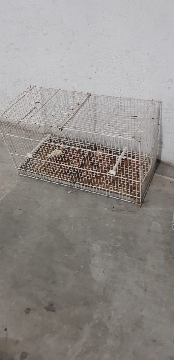 Vendo jaulas para pajaros