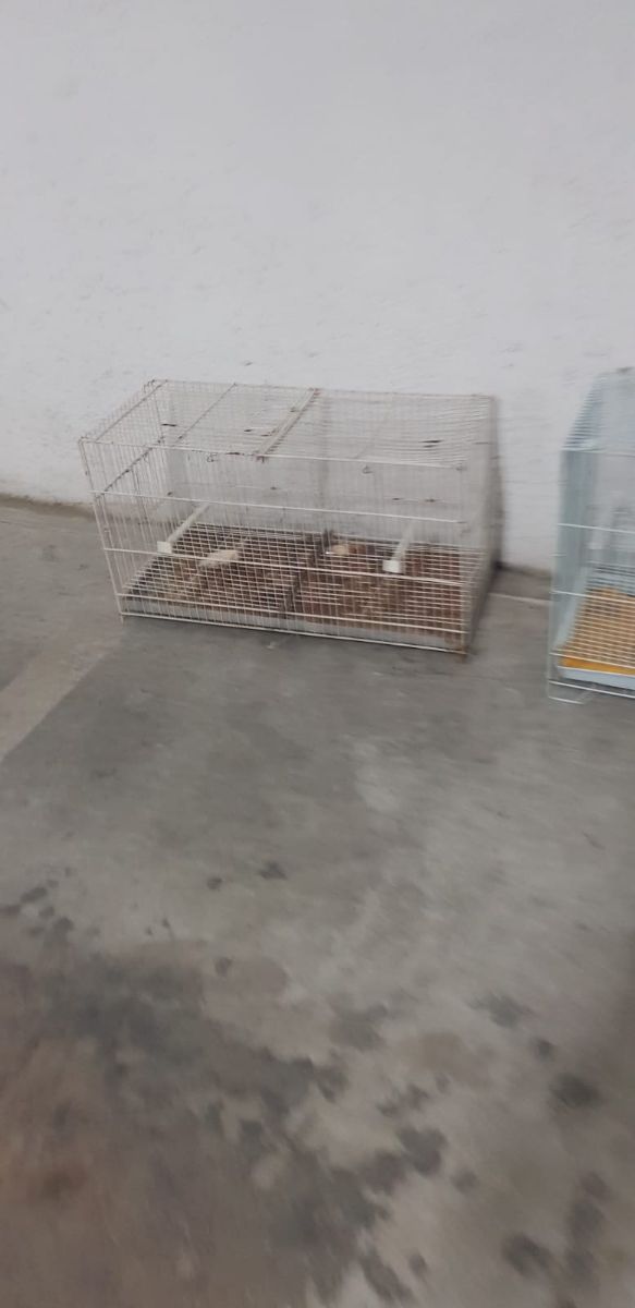 Vendo jaulas para pajaros