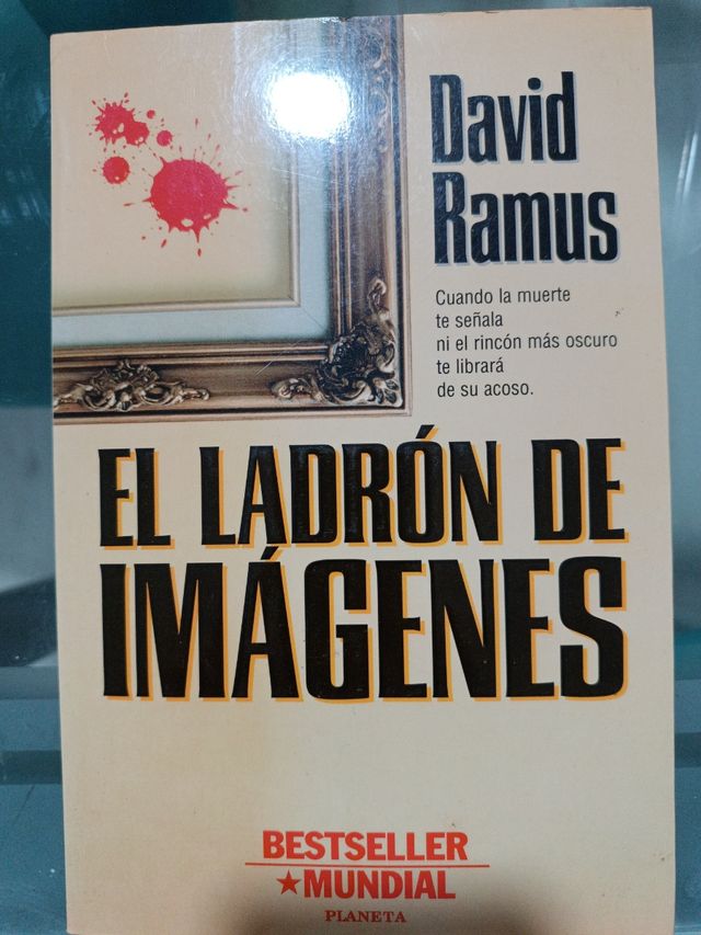 El ladrón de imágenes