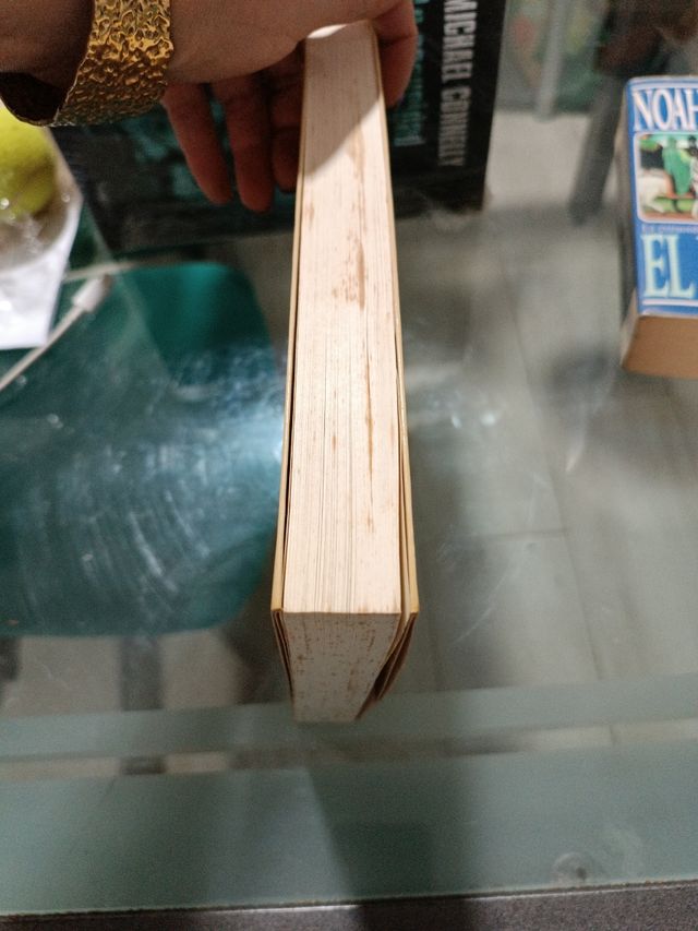 El ladrón de imágenes