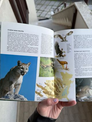 Enciclopedia illustrata degli animali