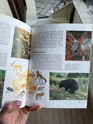 Enciclopedia illustrata degli animali