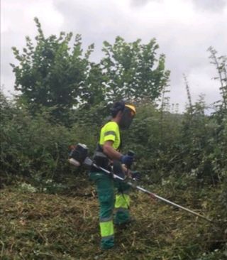 Limpieza de parcelas 