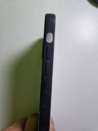 Funda iPhone 16 Pro - Flores