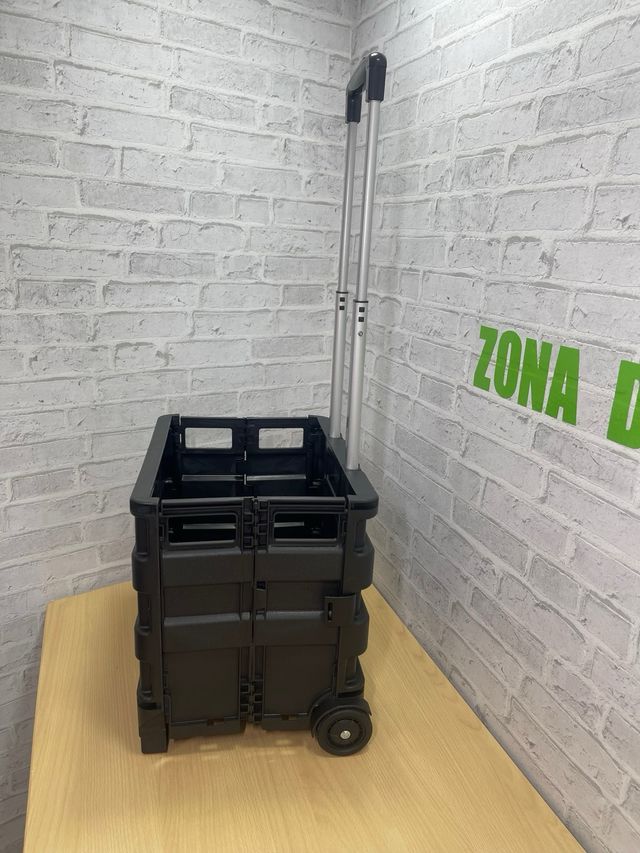 Kinzo Carrito para la compra Plegable