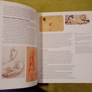 Ilustración de moda (Spanish Edition)