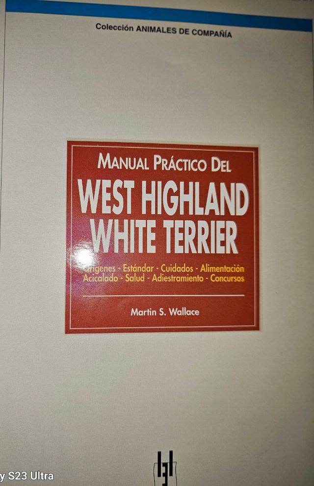 West highland white terrier...