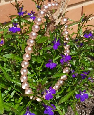 Collar Collar de   perla  Preciosa redonda.
